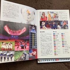 ビジュアル　新しい体育実技 教科書の画像
