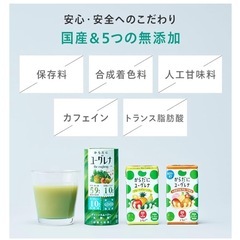 新品未開封✨️からだにユーグレナ グリーンスムージー 乳酸菌 15本入 ユーグレナ 砂糖不使用 野菜ジュース 乳酸菌飲料 子ども ビタミン ミネラル 食物繊維の画像