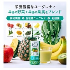 新品未開封✨️からだにユーグレナ グリーンスムージー 乳酸菌 15本入 ユーグレナ 砂糖不使用 野菜ジュース 乳酸菌飲料 子ども ビタミン ミネラル 食物繊維の画像