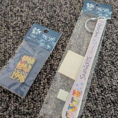 長野オリンピックの本とピンバッジ、キーホルダーのセットの画像