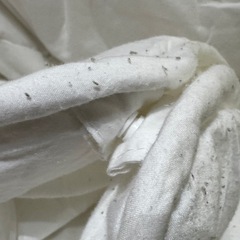 IKEA ダブルサイズ 掛け布団 2枚合わせ オールシーズンの画像