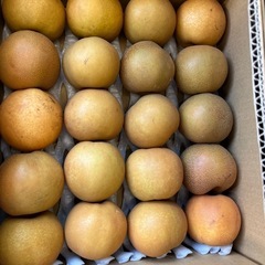 バナナ4本100円の画像
