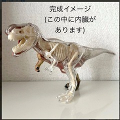 【未使用】　ティラノサウルス　模型　内臓、骨格、外面、ディスプレイ用トレイ の画像