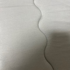 ニトリ極厚ラグの画像