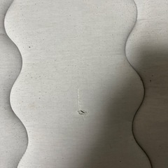 ニトリ極厚ラグの画像