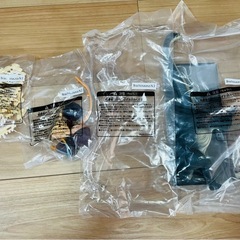 【未使用】ブラキオサウルス　模型（骨格、内臓、皮膚、ディスプレイ用トレイ一式）の画像