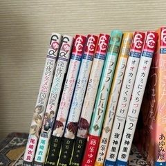 少女漫画　フラワーコミック　読み切り　24冊　の画像