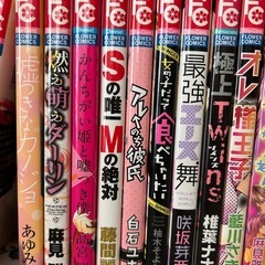 少女漫画　フラワーコミック　読み切り　24冊　の画像
