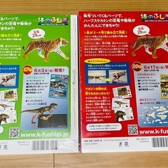 【未使用】トラ　模型（骨格、内臓、皮膚、ディスプレイ用トレイ一式）⭐︎アニア好きなお子様にの画像
