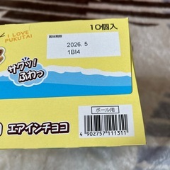 お菓子　ぷくぷくたいエアインチョコ10個入り②の画像