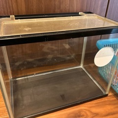 水槽と飼育セットの画像