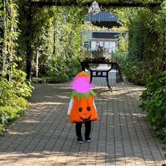 キッズ　ハロウィン仮装　かぼちゃ　80〜110cmの画像