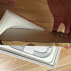 iPhone13PROの画像