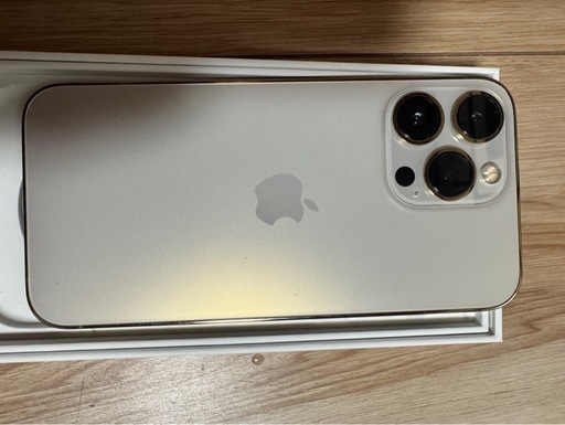iPhone13PRO