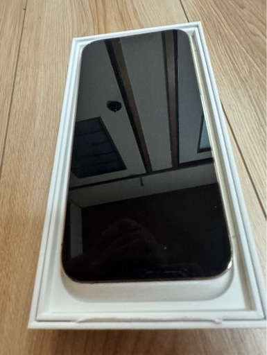 iPhone13PRO