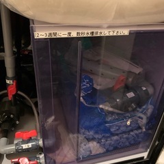 大型すいそ水槽の画像