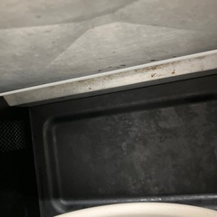 電子レンジの画像