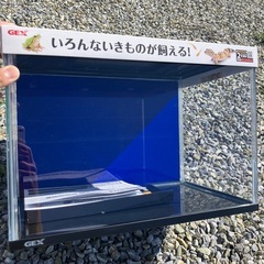 水槽　GEX ガラスケース&カバーセット400の画像