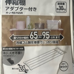 【開封済・未使用】収納棚(アイリスオーヤマ)×2個の画像