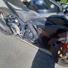 YZF-R25の画像