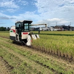 令和7年産　ササニシキ　⚫︎低糖質・血糖値対策に最適⚫︎  新米　玄米30kg   ー 残り若干数 、直ぐに来られる方優先で ー
の画像