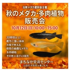 秋のメダカ・多肉植物販売会　多肉中止