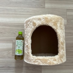 キャットタワーの画像