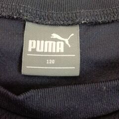 Puma H&M Tシャツ2枚セット　120cmの画像