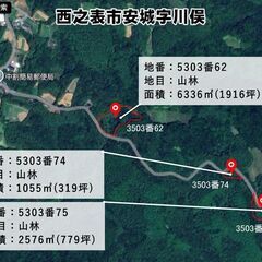 西之表市安城字川俣【売地】事業用地向山林空港近公道沿191…