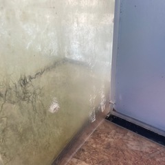 大型アクリル水槽の画像