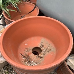 陶器鉢　　大サイズの画像