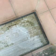 60cmガラス水槽の画像