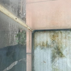 60cmガラス水槽の画像