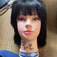 ウィッグの画像