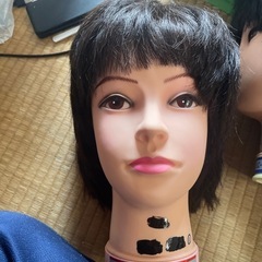 ウィッグの画像