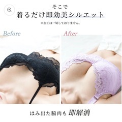 補正下着 未使用の画像