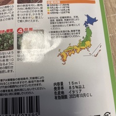 無料　ブロッコリーと小松菜　種の画像