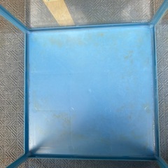 水槽の画像
