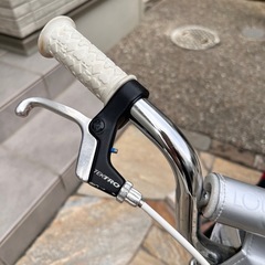 ルイガノ　16インチ　赤の画像