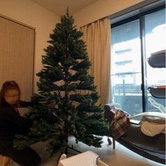 クリスマスツリー　アメリカで購入した特大のものになりますの画像