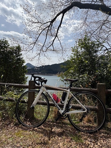 メリダ　スクルトゥーラrim100他