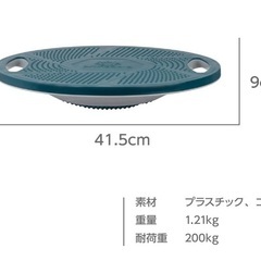 バランスディスクの画像