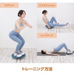 バランスディスクの画像