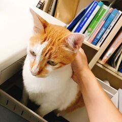 【正社員:月収27万円】管理事務【社保・社用車完備】の画像