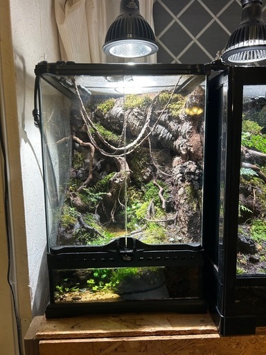 グラステラリウム3045