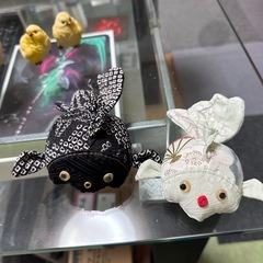 ちりめん金魚の画像