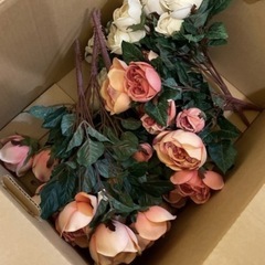 造花の画像