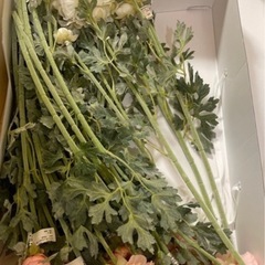 造花の画像