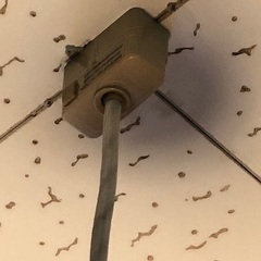 照明器具★高級感あるウッドボール★電気シェードの画像