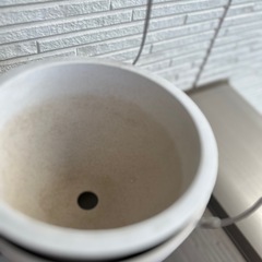 キントー　プラントポットの画像